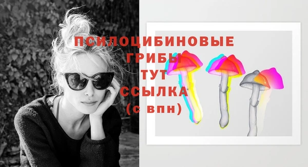 дурь Пестово