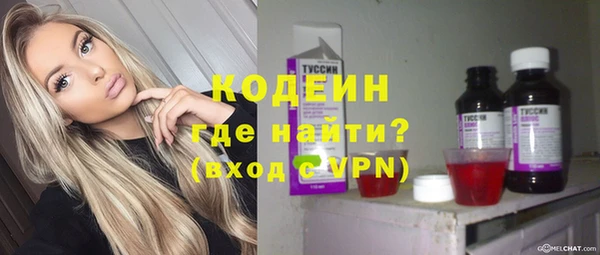 дурь Пестово