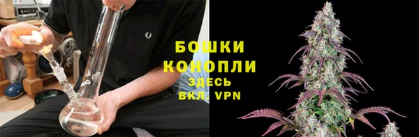 дурь Пестово