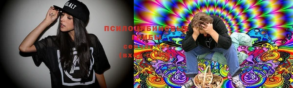 дурь Пестово