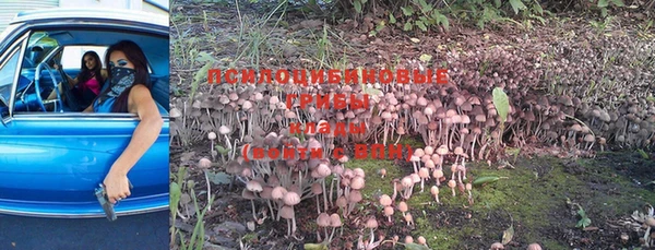 кристаллы Пересвет
